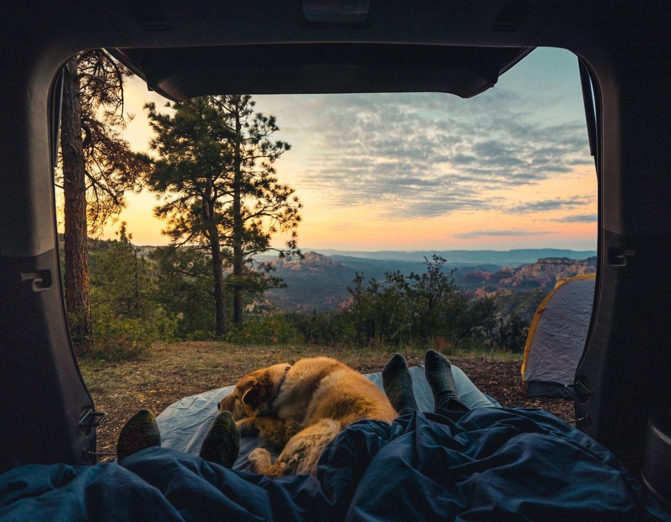 Ausblick eines offenen Campers Ausblick eines offenen Campers ins Freie, mit einer Decke und einem braunen Hund